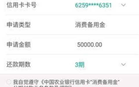 农业银行49.8万备用金何去何从？