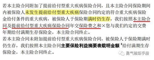 两全保险是什么意思？-全解析