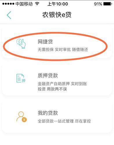 网上小额贷款机构：快速便捷的资金获取方式