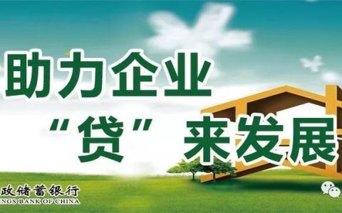 国内小额贷款公司：助力小微企业发展