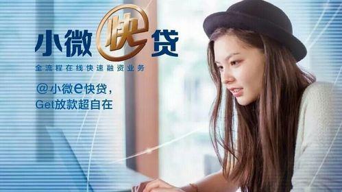 小微网贷：助力小微企业发展的新引擎