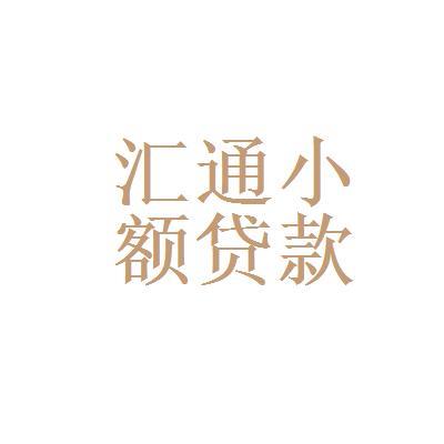 汇通小额贷款：助您实现梦想的金融伙伴